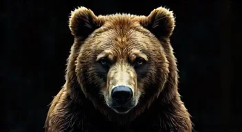 Die 5 meistgestellten Fragen (FAQ) zu "No Escape - Grizzly Night"